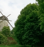 muehlentag2_dirk jansen